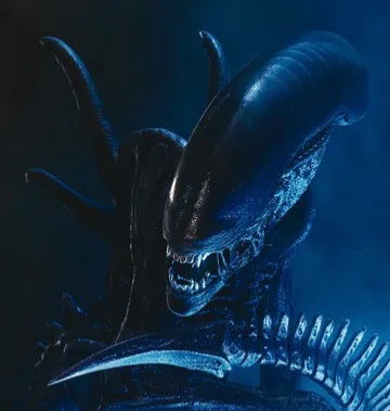 Xenomorph 