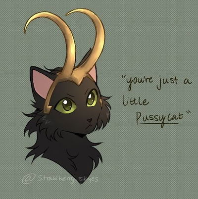Cat Loki