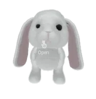 White Rabbit