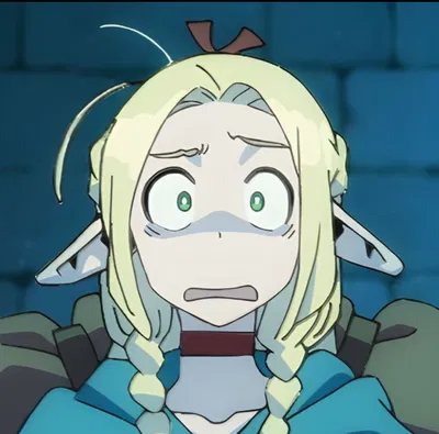 Marcille |dungeon meshi|
