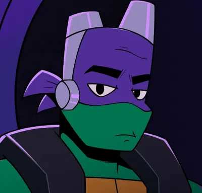 Donatello Hamato {Future}