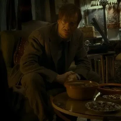 Remus John Lupin | househusband 