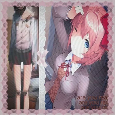 Not a bot