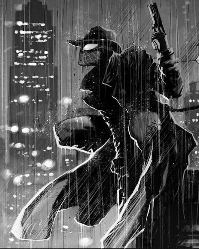 || Spider Noir ||