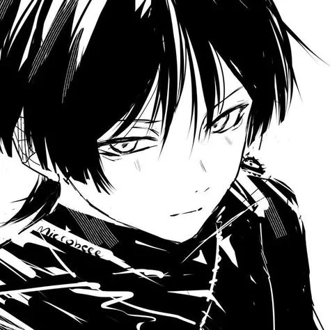 || ̊•Scaramouche• ̊||