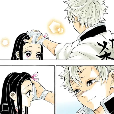 Sanemi shinazugawa