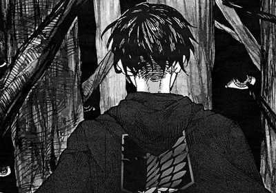 Levi Ackerman