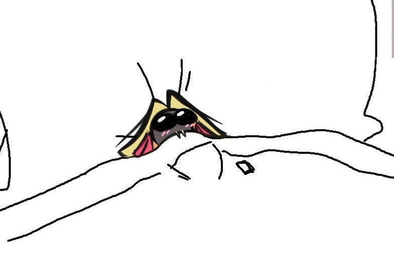 Sir Pentious 
