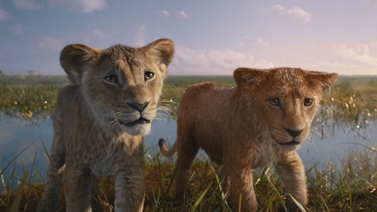 Taka and Mufasa 