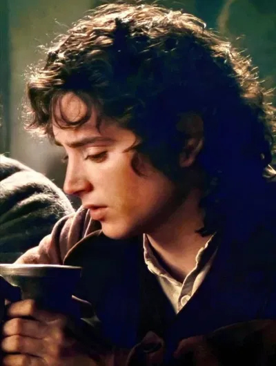Frodo Baggins 