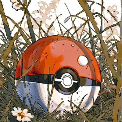 Pokémon TG TF