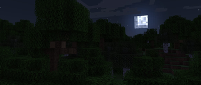 Minecraft RP