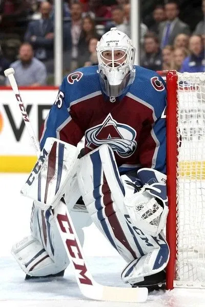 Danny Greyson](Hockey Goalie)[