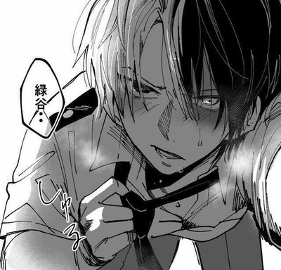Shouto Todoroki