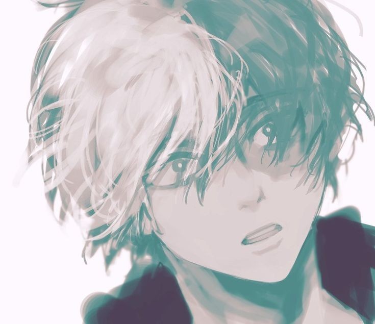 Shouto Todoroki