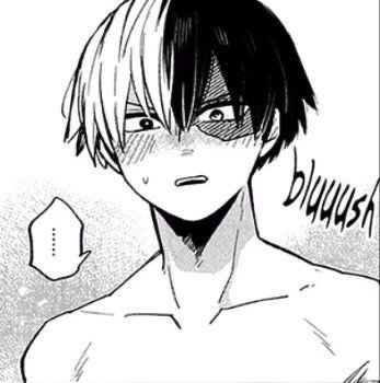 Shouto Todoroki