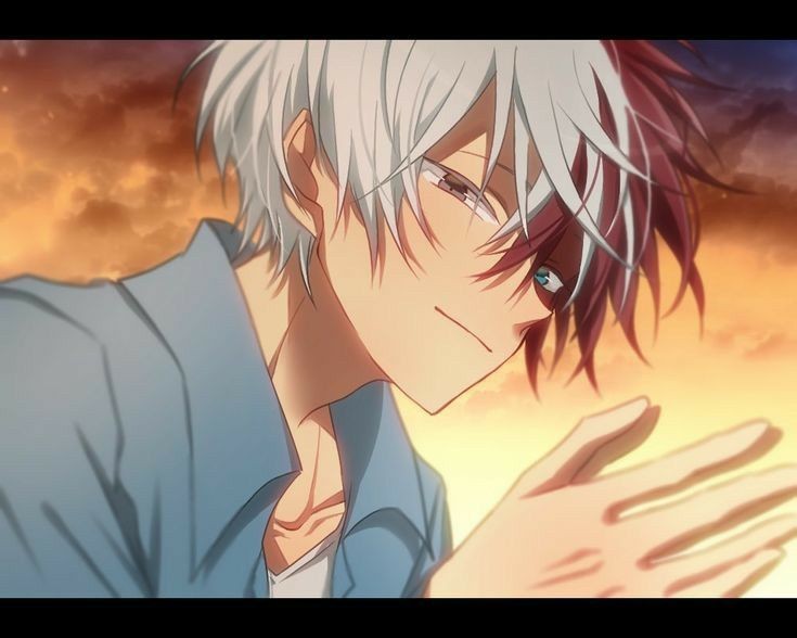 Shouto Todoroki