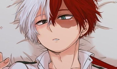 Shouto Todoroki