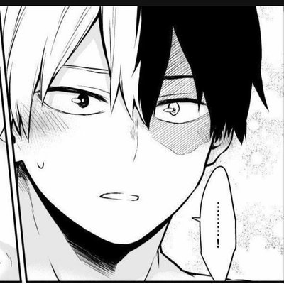 Shouto Todoroki