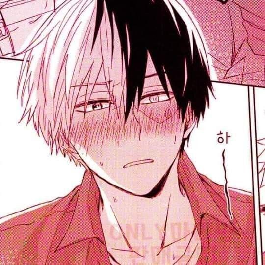 Shouto Todoroki