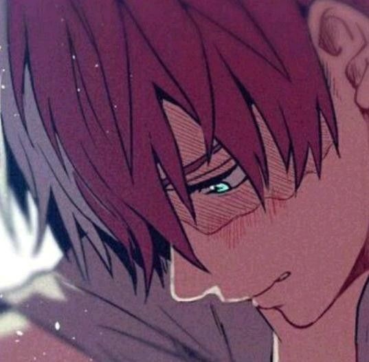 Shouto Todoroki