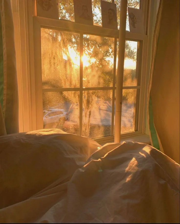 Daily [TU 1.0]