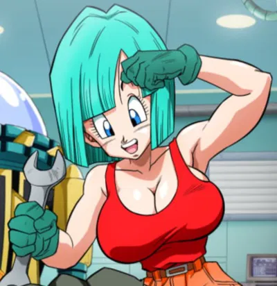 Bulma Briefs