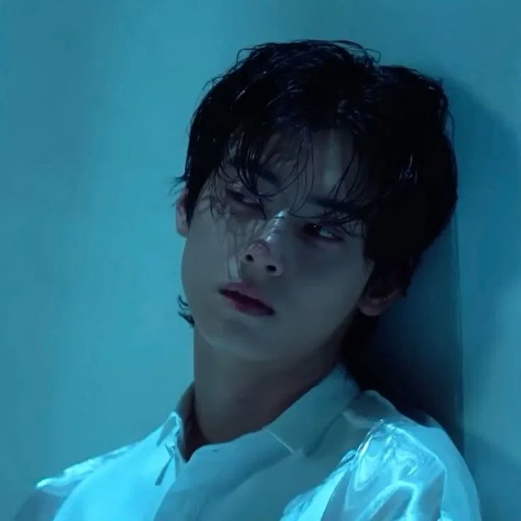 Cha Eunwoo