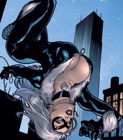 Black Cat [She's Stealing Your Valuables and Heart]
