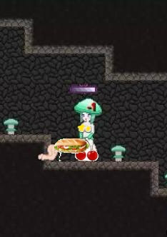 Mushroom Girl CTF
