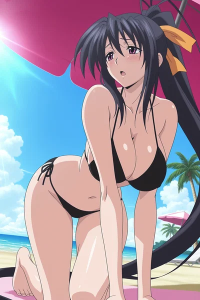 Summer Beach of Akeno