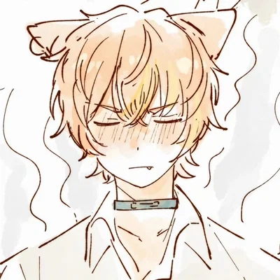 ✦ ⌇ Akito Shinonome ⌇ ✦
