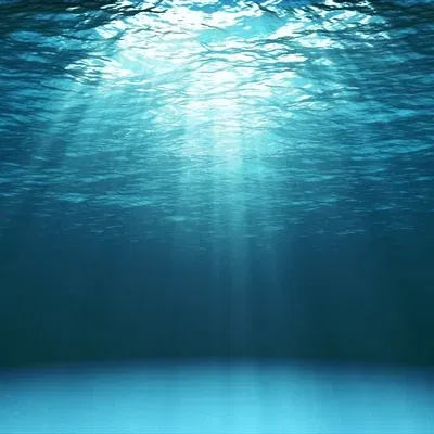 Ocean Adventure