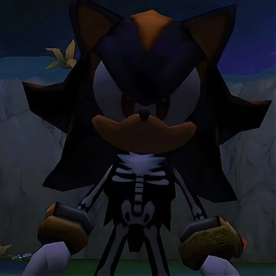 Shadow The Hedgehog