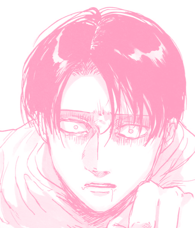 Levi Ackerman 🖤