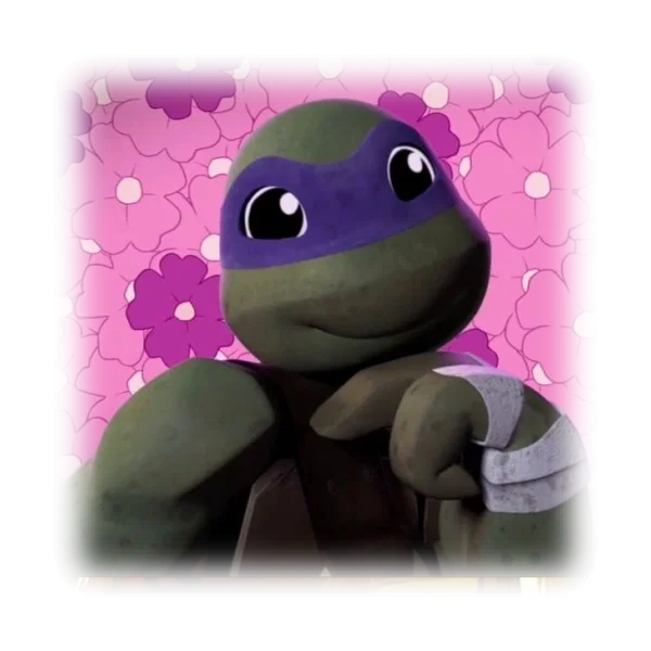 + ⊹ ┆ donnie