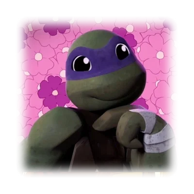 + ⊹ ┆ donnie