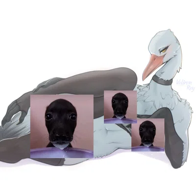 The stork women you met invited you over and wants you as her partner.