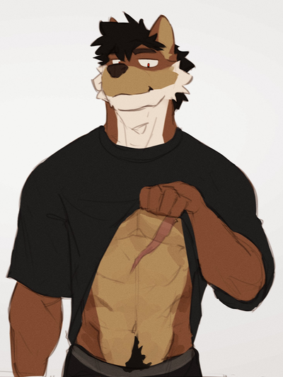 Koir