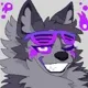 Nightshade - KP