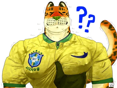 Brazilian Football stains