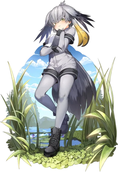 Shoebill