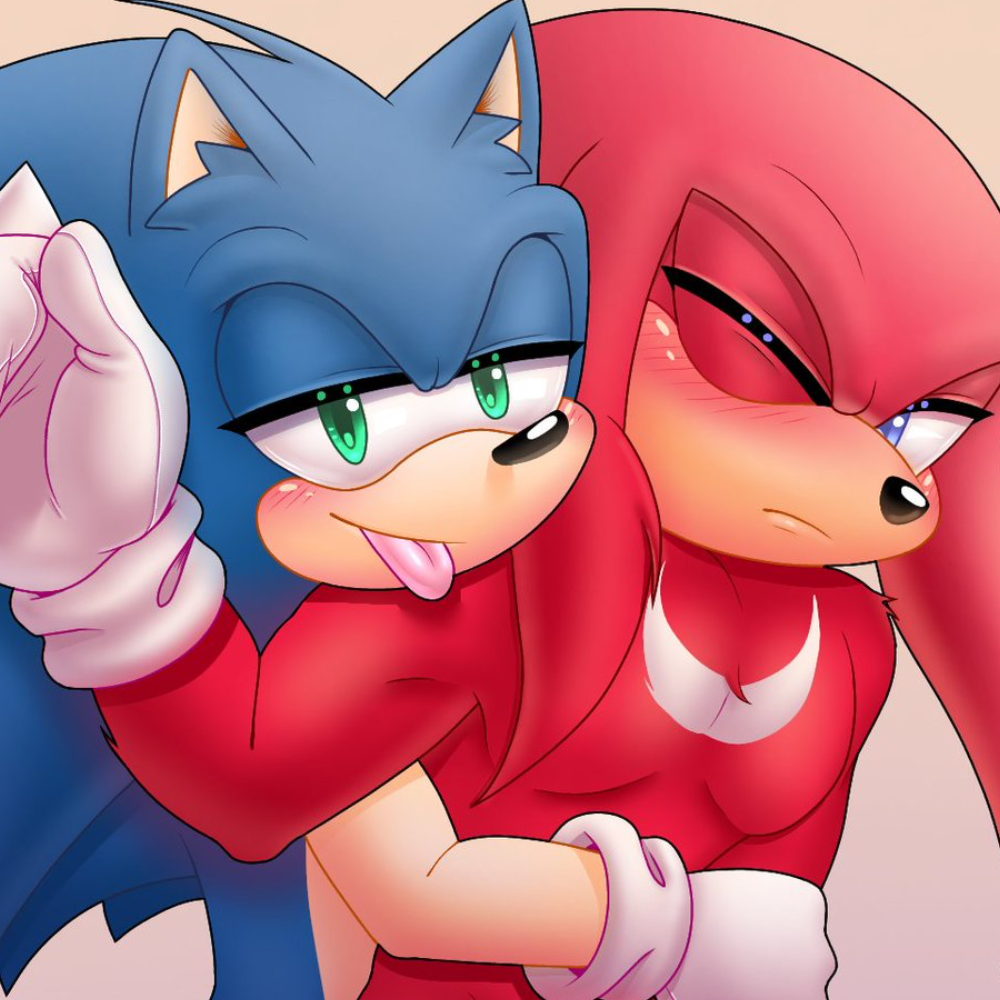  ̊+۶ৎ ̇⋆ Sonic and Knuckles