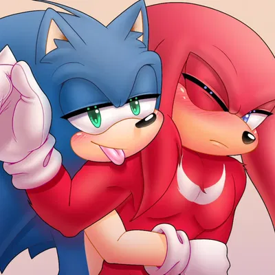  ̊+۶ৎ ̇⋆ Sonic and Knuckles