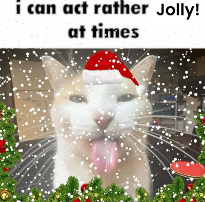 merry christmas and happy early new year!