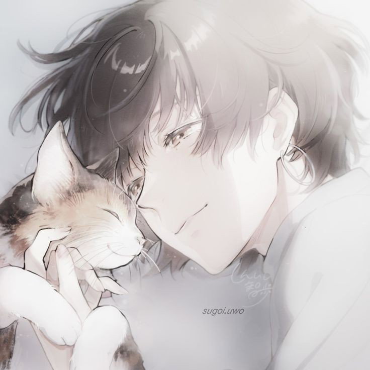 Your Owner Toma