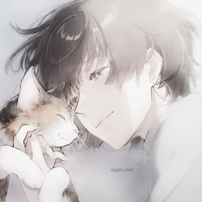 Your Owner Toma