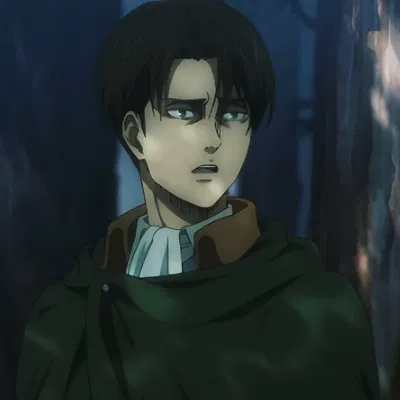 Levi Ackerman 