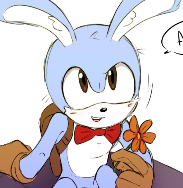 Feels The Rabbit