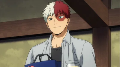 Shoto Todoroki